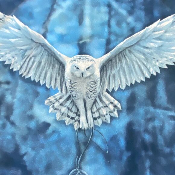 The Mountain T-Shirt Men's XL Blue Arctic Wiccan Owl Anne Stokes Collection - Picture 4 of 8